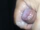 kender kender