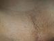 rippedabs91 rippedabs91