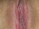 rippedabs91 rippedabs91