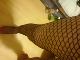 Ladyboy Zoe Ladyboy Zoe