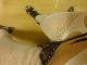 Ladyboy Zoe Ladyboy Zoe