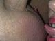 pussypussy pussypussy