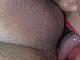 pussypussy pussypussy