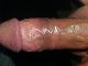 laci66 laci66