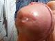 laci66 laci66