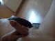 kriszpet kriszpet