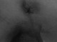 Humbert