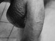 Humbert