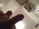 nyulos nyulos
