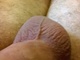 Attisnyalis Attisnyalis