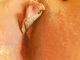 Andrea65 Andrea65