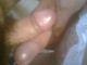 Cd ribanc