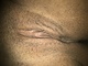 Pelo235 Pelo235