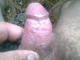 ferrum6