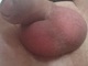 isti777 isti777