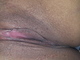 Pelo235 Pelo235