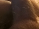 hundeus hundeus