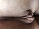 Pisti123 Pisti123