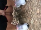 Pisti123 Pisti123