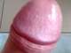 Barni