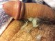 finger