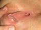 punci89 punci89