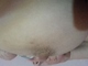 bigjohny1990