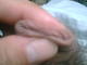 ferrum6