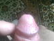 ferrum6