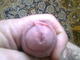 ferrum6