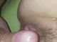 majom737 majom737