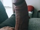 Laci19