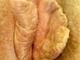 Andrea65 Andrea65
