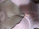Pisti123 Pisti123