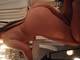 Cuckoldporn36 Cuckoldporn36