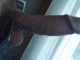 Leni38