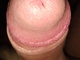 MB0081 MB0081