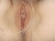 atomatoma atomatoma