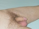 Bobo Bobo
