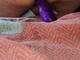 bitoma bitoma