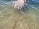 nudistlife7573