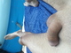 Bihajlam