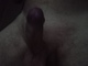 Hakylaci