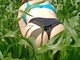 backdoor558 backdoor558