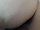 Puncika12 Puncika12