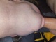 atomatoma atomatoma