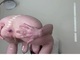 doggydick doggydick