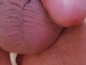 Krisss79 Krisss79