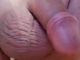 Krisss79 Krisss79
