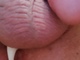 Krisss79 Krisss79